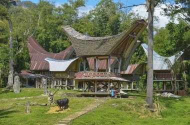 Tana Toraja, Sulawesi, Endonezya