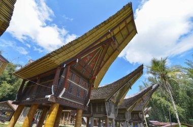 Tana Toraja, Sulawesi, Endonezya