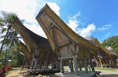 Tana Toraja, Sulawesi, Endonezya