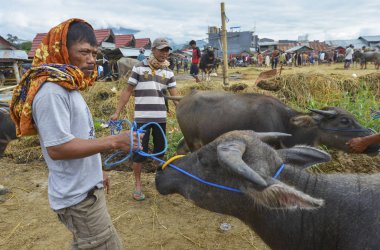 Pasar Bolu, Rantepao, Sulawesi, Endonezya