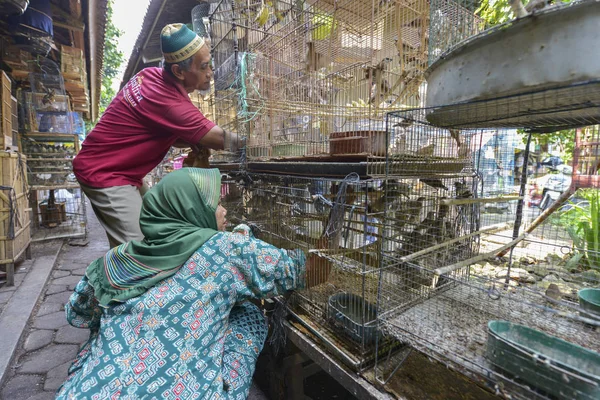 Pasar Ngasem, Yogyakarta, Java, Indonesië — Stockfoto