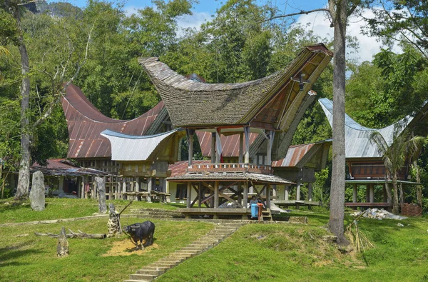 Tana Toraja, Sulawesi, Indonezja — Zdjęcie stockowe