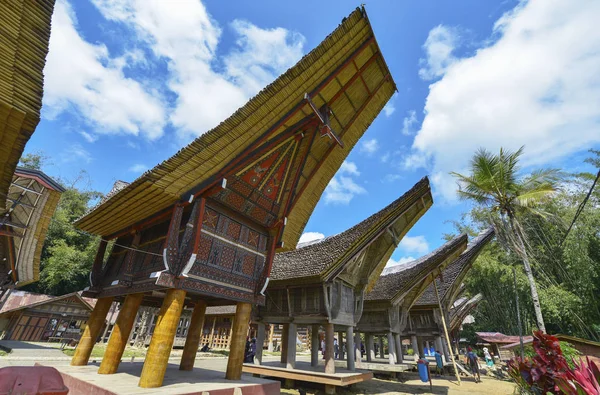 Tana Toraja, Sulawesi, Indonezja — Zdjęcie stockowe