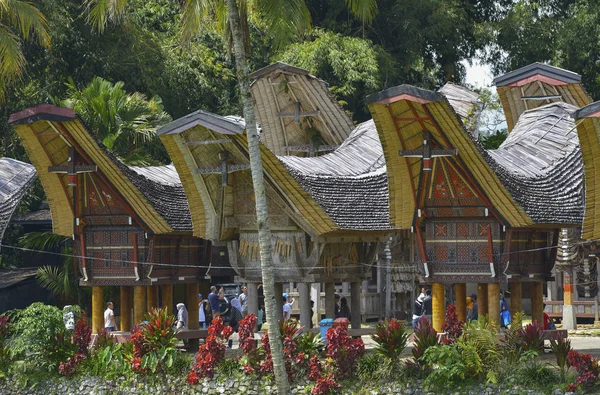 Tana Toraja, Sulawesi, Indonezja — Zdjęcie stockowe