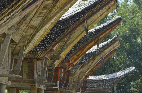 Tana Toraja, Sulawesi, Indonesia — Stock Photo, Image