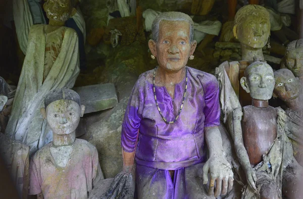 Tana toraja, sulawesi, indonesien. — Stockfoto