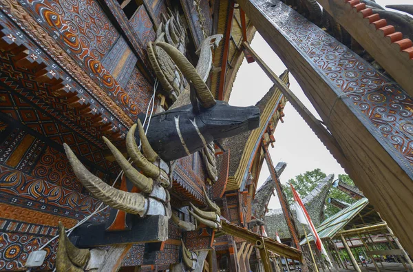 Tana toraja, sulawesi, indonesien — Stockfoto