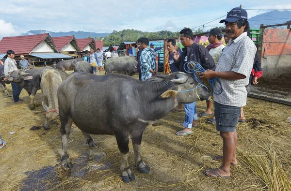 Pasar Bolu, Rantepao, Sulawesi, Indonesia — Foto Stock