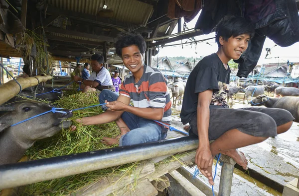 Pasar Bolu, Rantepao, Sulawesi, Indonezia — Fotografie, imagine de stoc