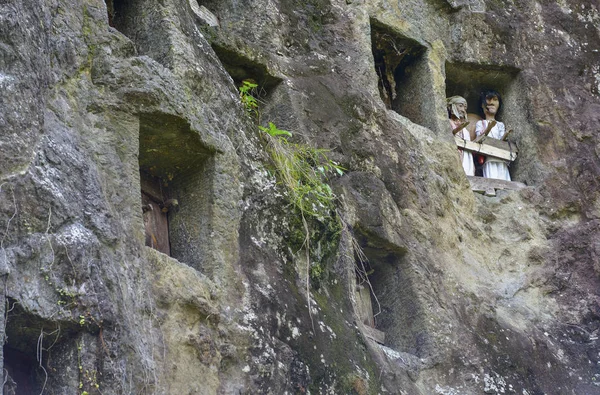 Tana Toraja, Sulawesi, Indonésie — Photo