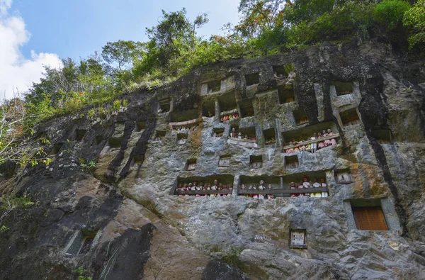 Tana Toraja, Sulawesi, Indonésie — Photo