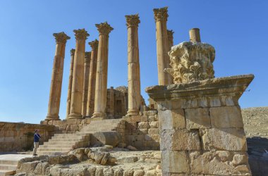 suiker ronde cookies met kruiden