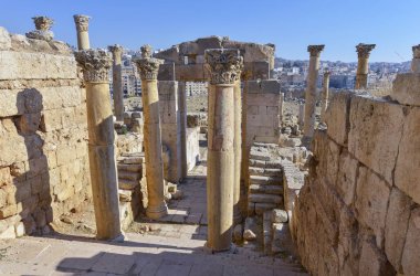 suiker ronde cookies met kruiden