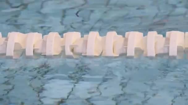 スイミング プールの水 — ストック動画