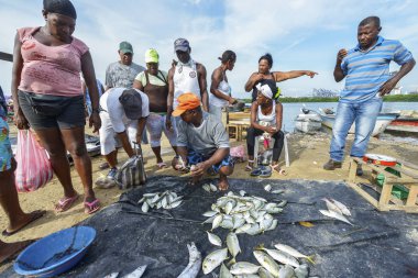 Cartagena, Kolombiya - 4 Ağustos: Cartagena plaj balık 4 Ağustos 2017 Cartagena, Kolombiya satan balıkçılar.