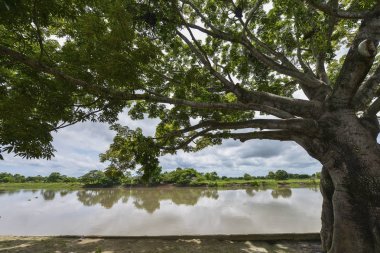 Mompox, Kolombiya ağaçlarda tarafından çerçeveli Magdalena Nehri görünümünü.