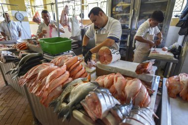 San Gil, Kolombiya - Ağustos 10: 10 Ağustos 2017 San Gil, Kolombiya üzerinde balık San Gil piyasada satan bir kimliği belirsiz erkek.