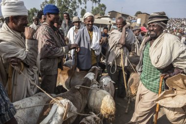 Lalibela, Etiyopya - 6 Ocak: 6 Ocak 2018 Lalibela, Etiyopya koyun Lalibela piyasada satış bir kimliği belirsiz adam.