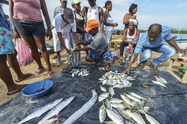 Cartagena Indias Kolumbia Sierpnia Rybacy Sprzedaży Ryb Plaży Cartagena Sierpnia — Zdjęcie stockowe