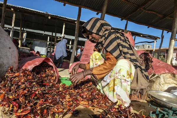 Hawzien Etiopia Stycznia Etiopskich Kobiet Sprzedających Suszone Chili Peppers Rynku — Zdjęcie stockowe