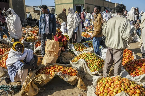 Hawzien Tigray Etiopien Januari Säljare Tomater Hawzien Marknaden Januari 2018 — Stockfoto