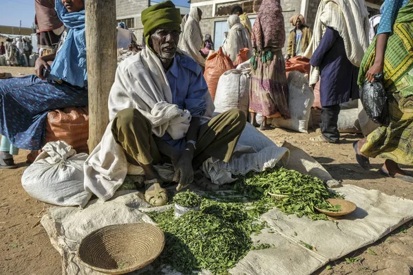 Hawzien Tigray Etiopien Januari Oidentifierad Man Sälja Khat Hawzien Marknaden — Stockfoto
