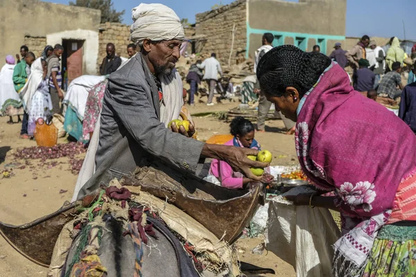 Hawzien Tigray Etiopien Januari Oidentifierad Man Med Hans Åsna Som — Stockfoto