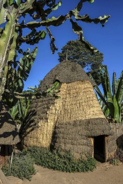 Chencha, Etiyopya - 22 Ocak: Mimari tarzı Dorze etnik grubun Guge dağlarda Chencha Köyü'nde Afrika kulübede üzerinde 22 Ocak 2018 Chencha, Etiyopya gösterdi.