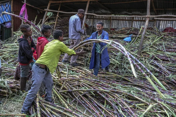 Bahir Dar Amhara Region Äthiopien Januar 2018 Unbekannter Mann Verkauft — Stockfoto