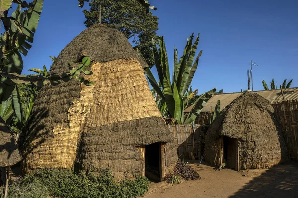 Chencha Etiopía Enero Estilo Arquitectónico Muestra Cabaña Africana Del Grupo — Foto de Stock