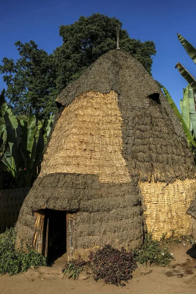 Chencha Etiopía Enero Estilo Arquitectónico Muestra Cabaña Africana Del Grupo — Foto de Stock