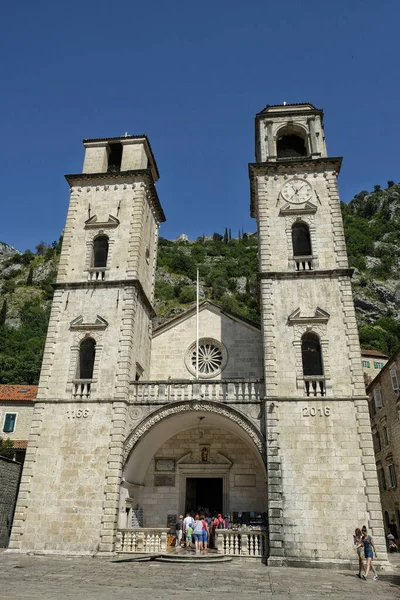 Kotor Montenegro Junio 2019 Turista Visitando Catedral San Trifón Kotor —  Fotos de Stock