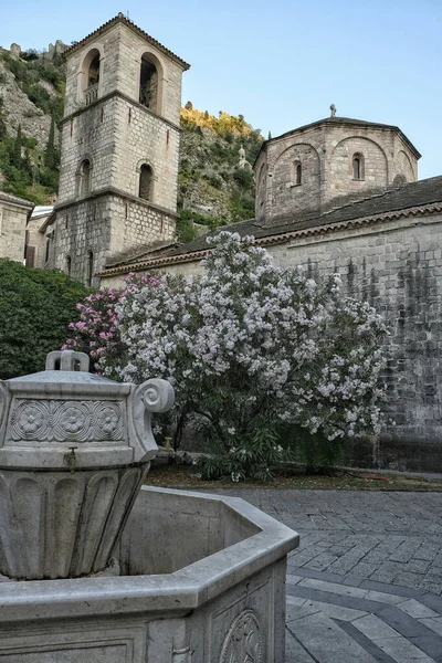 Iglesia Santa María Casco Antiguo Kotor Montenegro —  Fotos de Stock