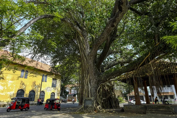 Galle Sri Lanka Enero 2020 Tuk Tuks Court Square Galle — Foto de Stock