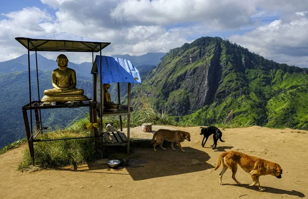 Boeddhabeeld Kleine Adam Piek Ella Sri Lanka — Stockfoto