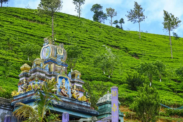 Temple Hindou Près Une Plantation Thé Nanu Oya Sri Lanka — Photo