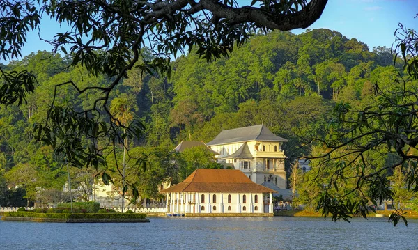 Kandy Sri Lanka Gennaio 2020 Tempio Del Dente Buddha Presso — Foto Stock