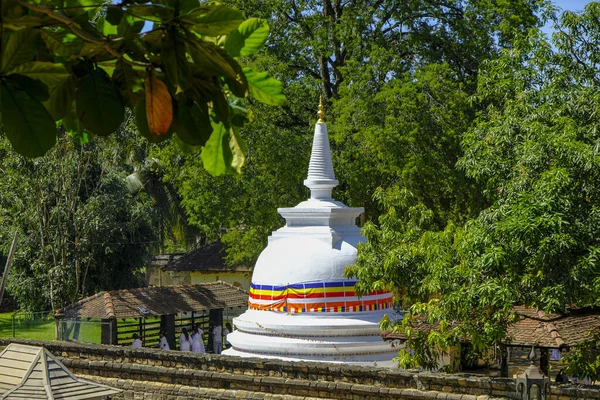 Kandy Sri Lanka January 2020 People Praying Natha Devale Buddhist — 스톡 사진