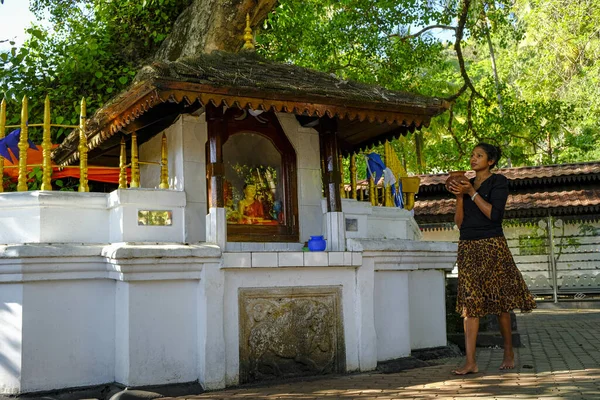 Kandy Sri Lanka Janvier 2020 Une Femme Prie Temple Bouddhiste — Photo
