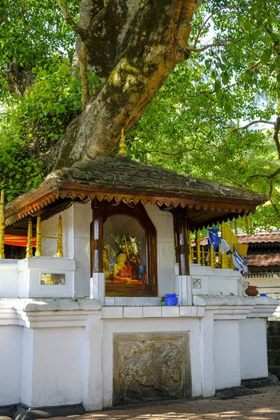 Temple Bouddhiste Visnhu Devale Kandy Sri Lanka — Photo