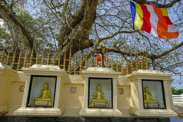 Kalutara Srí Lanka Leden 2020 Buddhovy Sochy Kalutaře Bodhiya Dříve — Stock fotografie