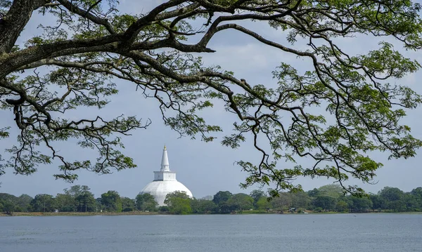 Anuradhapura Sri Lanka Février 2020 Stupa Bouddhiste Ruvanvelisaya Dagoba Février — Photo