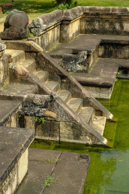 Polonnaruwa, Sri Lanka 'daki 1. Parakramabahu Kraliyet Sarayı' nda havuz..