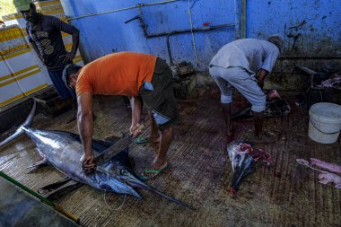 Trincomalee, Sri Lanka - Şubat 2020: Trincomalee, Sri Lanka 'da 16 Şubat 2020 tarihinde erkekler kılıç balığı kesiyor.