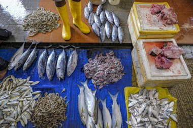 Trincomalee, Sri Lanka 'daki Trincomalee pazarında balık satıcıları.