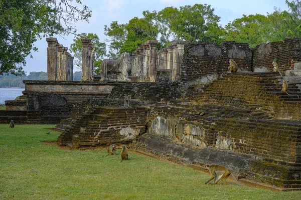 Sala Rady Królewskiej Pałacu Nissanka Malla Polonnaruwa Sri Lanka — Zdjęcie stockowe