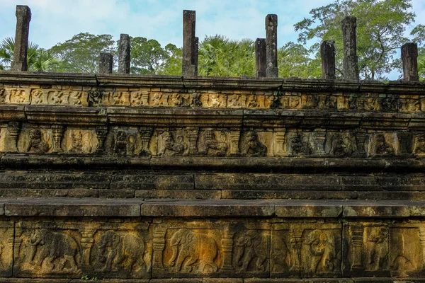 Friso Elefantes Sala Audiencias Del Palacio Real Parakramabahu Polonnaruwa Sri — Foto de Stock