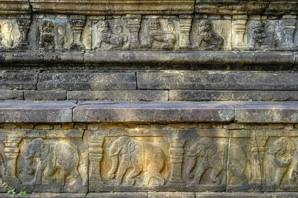 Frise Éléphants Dans Salle Audience Palais Royal Parakramabahu Polonnaruwa Sri — Photo