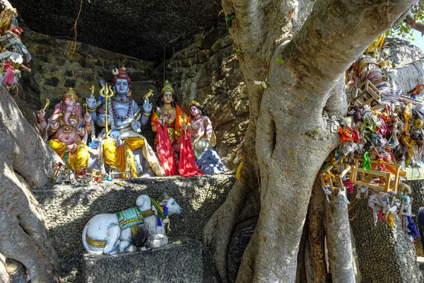 Trincomalee Sri Lanka Februar 2020 Tempelet Kandasamy Kovil Hidu Februar – stockfoto