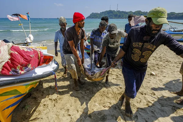 Trincomalee Sri Lanka Februari 2020 Fiskare Som Transporterar Svärdfisk Stranden — Stockfoto